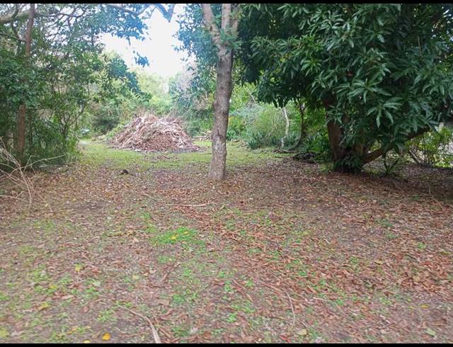 FARM FOR SALE IN RAMSGATE